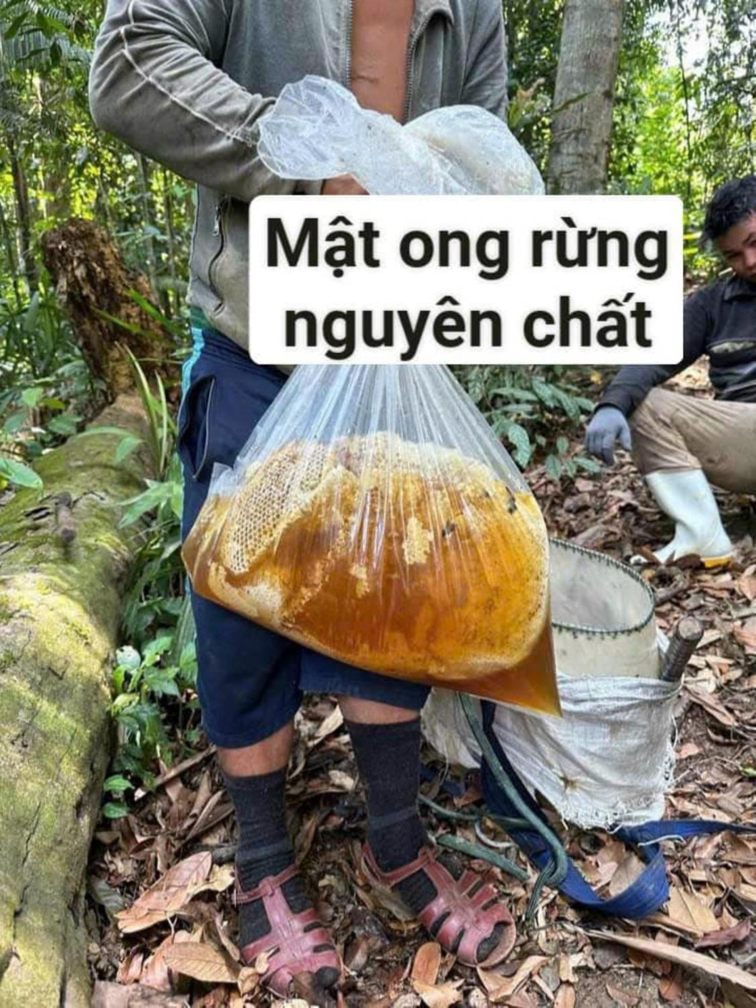 Homestay Ho Son - Thac Anor A Luoi Ngoại thất bức ảnh